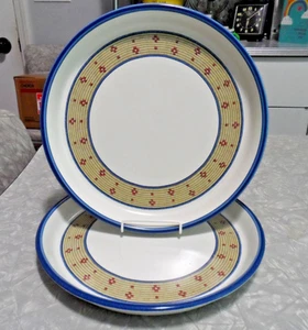DANSK BASKETS DINNERWARE 2 PC. DINNER PLATE SET in the "1993 COIL PATTERN - Picture 1 of 3