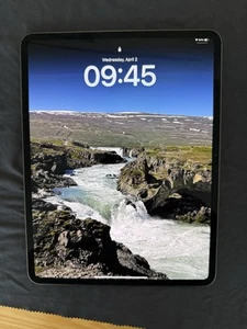 Apple iPad Pro 13 Inch (M4) 1TB Space Black WiFi - Picture 1 of 14