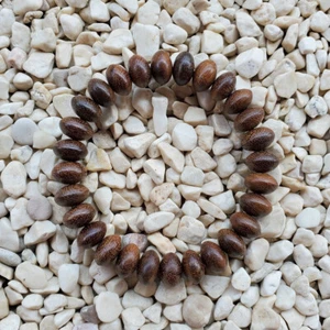 Remarkable Borneo Ironwood 8x12 MM Eusideroxylon Bracelet Kayu Ulin Billian - Picture 1 of 12