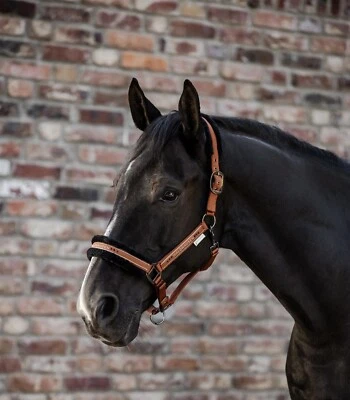 Halfter + Strick Set Waldhausen Elegant mit Glitzersteinen Zimt braun Warmblut