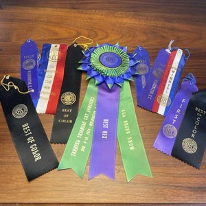 1970er Cat Fanciers Association Band Lot (10) Cat Award Bänder Handwerk Katze Geschenke - Bild 1 von 8