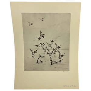 Roland Clark Gathering of the Clan Signed Etching Reproduction Nature Magazine 1 - Picture 1 of 3