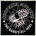 DROPKICK MURPHYS  rare 4X4 inch vinyl screen printed sticker, decal PUNK