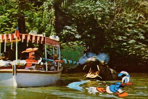 Vintage Postcard Disneyland Adventureland Jungle River Cruise Micky Donald - Picture 1 of 3