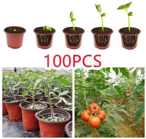 Nursery Garden Seedling Starting Container Plastic Plant Flower Pots 50/100 PACK - Picture 1 of 24