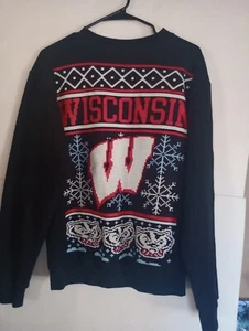 Men's Champion Wisconsin Badgers Champion Eco Fleece Sweatshirt. Size S - Picture 1 of 9