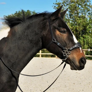 Hackamore gebisslose Trense (voll - schwarz) - Bild 1 von 9