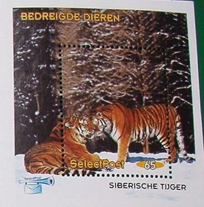 Stadspost Zaanstad 1997 - Blokje Bedreigde Dieren, Siberische Tijger - Picture 1 of 1