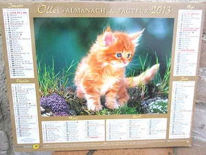 Calendrier almanach du facteur 2013 plans Isère, photos:chatons - Foto 1 di 1