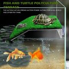 Turtle Basking Platform Floating Island Moss Habitat Decor Aquarium Accessories