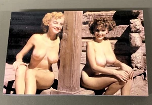 # T5627 LOTE DE POSTALES DESNUDAS, 55 DIF. TARJETAS - Imagen 1 de 4