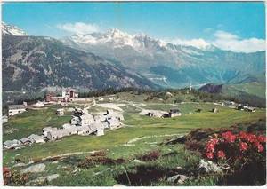 ALPE MOTTA - SONDRIO - VALLE SPLUGA 3776- - Picture 1 of 1