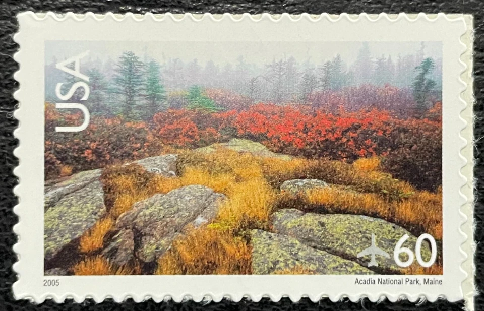 2005 #C138b, 60¢, AIRMAIL - ACADIA NATIONAL PARK - Single - "2005" Date - MNH - - Image 1 of 1