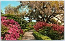 Postcard - Early Spring in the Capitol Gardens at Baton Rouge, Louisiana