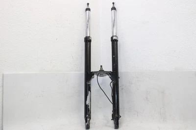 BMW R1100R 1995 OEM HORQUILLAS DELANTERAS JUEGO SUSPENSIÓN AMORTIGUADOR PAR Foto 1 de 4