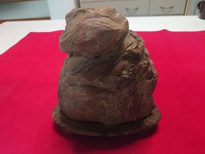 Piedra SUISEKI 7 pulgadas de alto forma única visión natural roca japonesa Foto 1 de 4