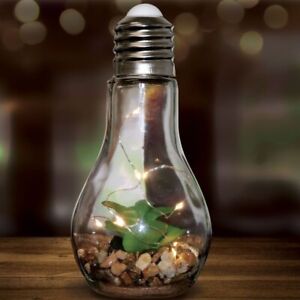 Jade Plant Glass Bulb Terrarium LED Night Light Indoor Outdoor Faux Succulent