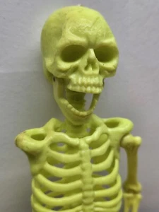 "Esqueleto de Halloween verde brillante colgante decoración de plástico brazo suelto de 15"" de alto" - Imagen 1 de 7