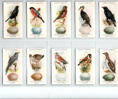 Hignett: British Birds & Their Eggs 1938 Full Set 50 Cigarette Cards - Image 1 of 4
