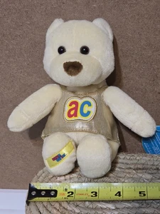 Peluche RARO Aaron Carter Nuevo Con Etiquetas Oso de Peluche Gira de Conciertos Coleccionable 2001 - Imagen 1 de 10