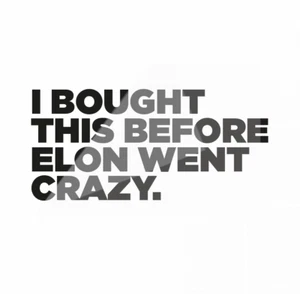 I BOUGHT THIS BEFORE ELON WENT CRAZY - TESLA Vinylcut Sticker - Schwarz (Matt) - Bild 1 von 3