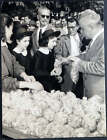 Photo de presse vintage Milano Festival Dell'Raisin 1955 FT 1238 - tirage
