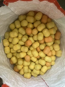 JUGUETES DE COLECCIÓN SORPRESA INFANTIL EN HUEVOS COMO NUEVOS SIN USAR X 288 INCREÍBLE COLECCIÓN  - Imagen 1 de 2