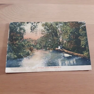 Dowagiac Creek Near Niles MI Michigan Posted 1907 Litho-Chrome Postcard - Picture 1 of 1