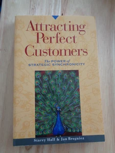 Perfekte Kunden gewinnen: Power of Strategic Synchronicity von Stacey Hall SC - Bild 1 von 1