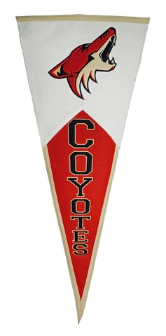 Arizona Coyotes NHL GIANT SIZE Pennant 17x40 Wool Pennant CHECK IT OUT Cover