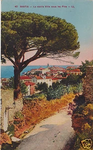 Corsica Bastia La vieille Ville sous les Pins f.p. - Foto 1 di 1