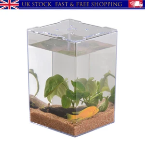 Small Aquarium Betta Tank Fish Tank Desktop Office Home Transparent Acrylic UK - Picture 1 of 11