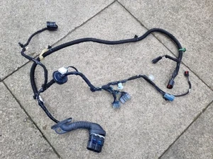 Arnés telar cableado delantero lado pasajero Ford Transit Connect MK2 N/S 2012-22 - Imagen 1 de 7