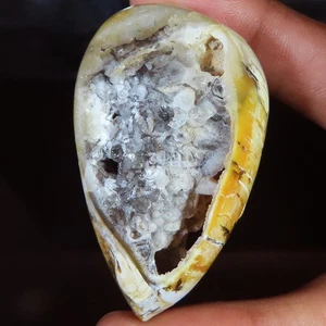 208.80 Cts Natural Fossil Snail Druzy , Fossil Snail Gemstone 33x54x20 mm WR498 - Picture 1 of 7