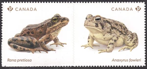 2024 Canada SC# Frogs and Toads - pair - from Booklet - M-NH - Bild 1 von 1