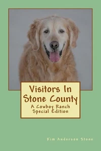 Visitors In Stone County: A Cowboy Ranch Series Special Edition by Kim Anderson - Picture 1 of 1