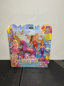 Barbie e la porta segreta set regalo - 2013 Mattel CBN46 nuovo con scatola rare bambole 4 pollici - Foto 1 di 8