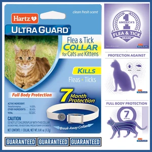 Hartz UltraGuard Flea & Tick Collar for Cats & Kittens 7 Months Protection, 1ct - Picture 1 of 24