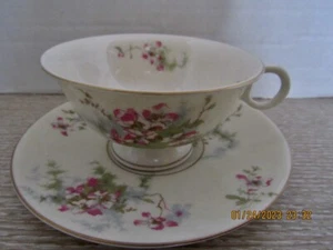 THEODORE HAVILAND..NEW YORK.. APPLE BLOSSOM CUP AND SAUCER (S)...UNUSED - Picture 1 of 3