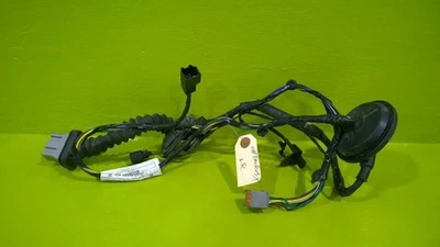 08 09 FORD TAURUS X CONDUCTOR PUERTA TRASERA IZQUIERDA ARNÉS DE CABLES OEM 2983-51 Foto 1 de 2