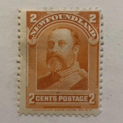 1897 1898 NEWFOUNDLAND MH STAMP #81 OR #81 KIND EDWARD VII WHILE PRICE OF WALES Cover