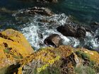 Photo 6X4 Berwickshire Coastal Rocks Eyemouth An Incoming Tide Splashes A C2012