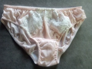 1960s 70s Vintage Sherman Mills Nylon Lace Lo Rise Bikini Panties Size 9 - Picture 1 of 15