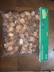 Mini pigne artigianali natalizi nuove in bustina 2016 4,6 oz - Foto 1 di 2