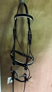 Dressurtrense NEU schwarz englisches Leder L-Pferd gepolstertes Flash-NASENBAND mit BIT - Bild 1 von 4