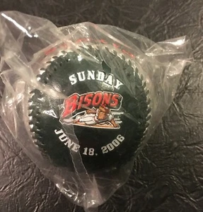 Buffalo Bisons Baseball Vatertag 2006 von Satellite Solutions - Bild 1 von 6