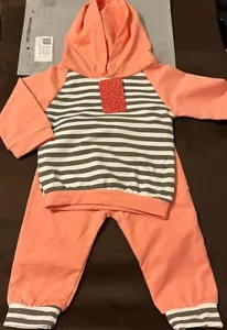 Infant 2 Piece Striped Pink Long Sleeve Hooded and Pant Set - Picture 1 of 2
