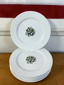 STUNNING ITALIAN RICHARD GINORI QUARZO PIATTI CASA 11" DINNER PLATES SET OF 6 - Picture 1 of 4