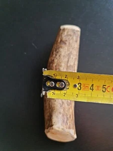 ein Stück Elchhorn / Hirschgeweih für einen Hund - Bild 1 von 2