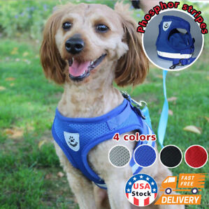 Small Dog Harness Breathable Mesh And Leash Set - Vest Chest Strap For Small Dog